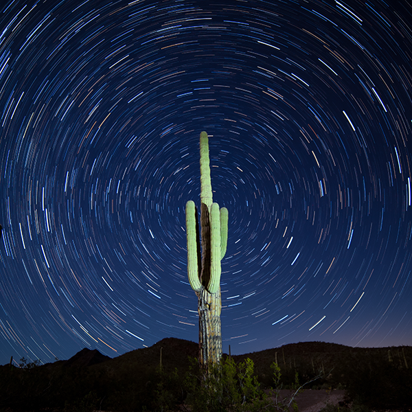 Arizona desert landscape